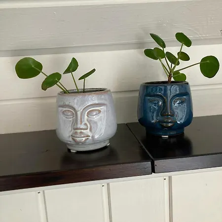 Thatched House Near Skodshoved *